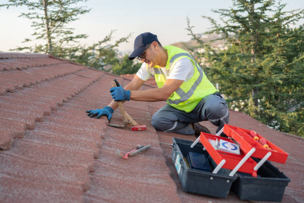 Best Gutter Installation and Roofing  in Orlinda, TN